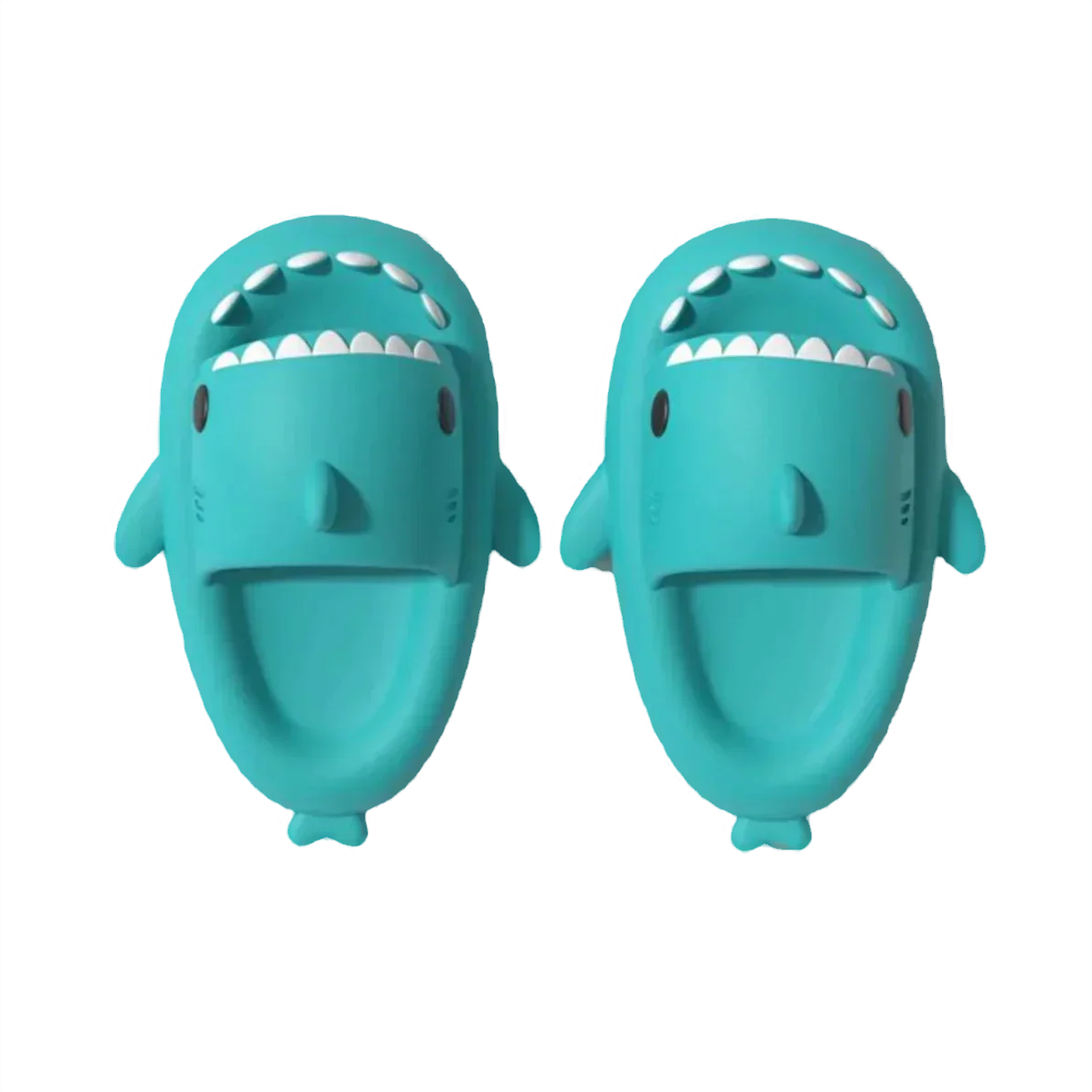 Shark Slides